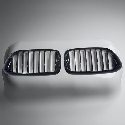 BMW 5 Series G30 G31 G38 Carbon Fiber Front Grille 2017-2018